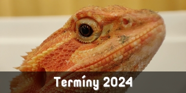 Termíny 2024